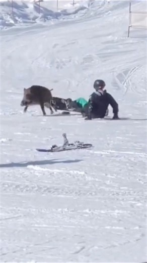 2.6M views · 16K reactions | Ski patrol looks different these days  #Snowboarding #Skiing #Winter #xgames (via: snowboardmenace on ig) | X Games | Facebook