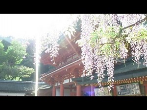 奈良市「観光PR映像‐春‐」河瀨直美作品