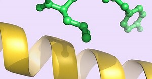 Voyage au cœur du vivant avec les rayons X : la cristallographie