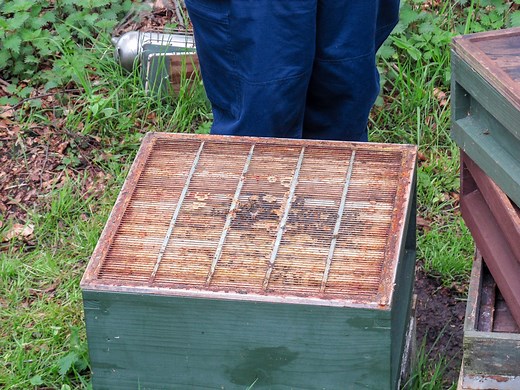 How to Make a Queen Excluder: DIY Beekeeping - BeeKeepClub