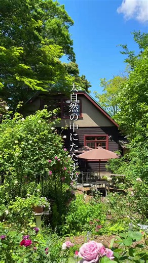 住宅街なのに…竹林を抜けた先に現れる“文化財を守るため”の有形文化財カフェが圧巻だった… ----------------感想---------------- 国立の住宅街を歩いていると、突然現れる竹林の小道… その先にあったのは、昭和8年に建てられた国登録有形文化財の洋館。 600坪もの広大な敷地に当時の建築や庭園が残されていて東京とは思えないほど 静かな空気が流れていました… 実はここ、ただの“映えカフェ”ではなく文化財を守り続けるために 営業している特別な場所。 元々は貿易商の別荘として建てられ、その後は沖本姉妹が長年住み続けながら 維持していたそうですが、高齢化と共に建物は荒廃し近所では“お化け屋敷”と 呼ばれるほどだったらしい… そんな場所を、隣に住んでいた久保家が受け継ぎ、「この建築を残したい」という想いから大規模リノベーションを行い、今のカフェとして蘇らせたそうです。 歴史を知ってから庭園や洋館を見ると、ただ綺麗なだけじゃなく、 “誰かが守り続けてくれた景色”なんだと感じてかなり感慨深かった… 洋館と和館が共存する空間や、窓から見える緑の景色も圧巻で、 どこを切り取っても