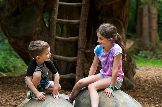 Gosford Forest Park Markethill - Get Active ABC -