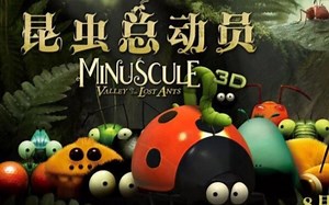 科学启蒙必看纪录片1-4季全78集【微观小世界VS昆虫总动员】儿童科普动画 用纪录片的风格还原真实的昆虫世界（适合各年龄观看）