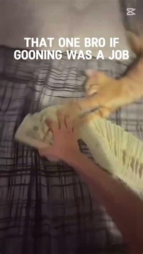 IDFK its 3 am and I'm just tryna post😭✌️