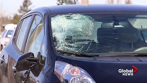 Elderly man struck and killed in Maple Ridge