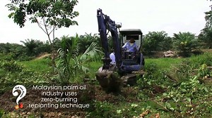 9K views | Did You Know The palm oil industry plays an important part in protecting the environment and biodiversity of wildlife by practicing Good Agricultural Practice (GAP) Get the latest developments in in the Palm Oil industry to help the world better understand one of nature's most precious tree. www.palmoiltv.org | Palm Oil TV | Facebook