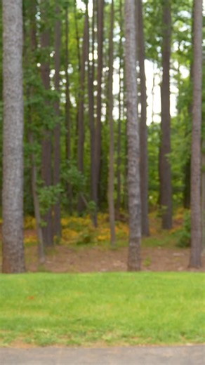 If you’re looking for something fresh to add to your workout routine, you should download the Planet Fitness App right now! Seriously… you need to try this out! | Joey Logano