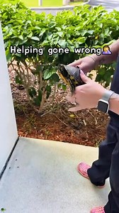 156K views · 3.8K reactions | Who knew turtles could be this funny? #cat #dog #animals #pets #funny #turtle | Awesome Animals | Facebook