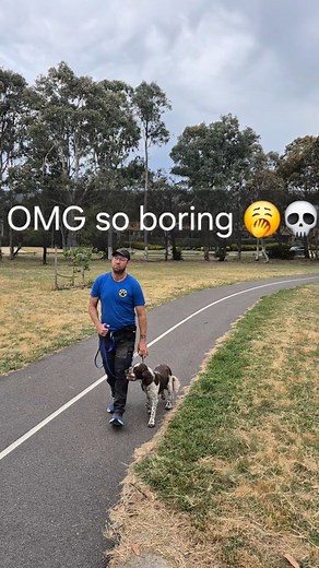 Loose leash walking is sooooo boring  If you want your dog to be able to do it though, you need to teach and then practice it including eventually with distractions. Alexis did super well passing these two happy excited little dogs, and we ended with a fun run around then cuddles in the shade ☺️ | Outdoor Paws | Facebook