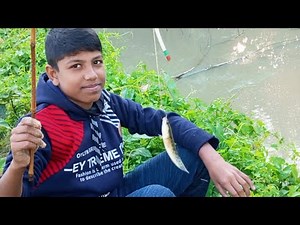 Pond reeds whisper | hook sinks under patterned reflections