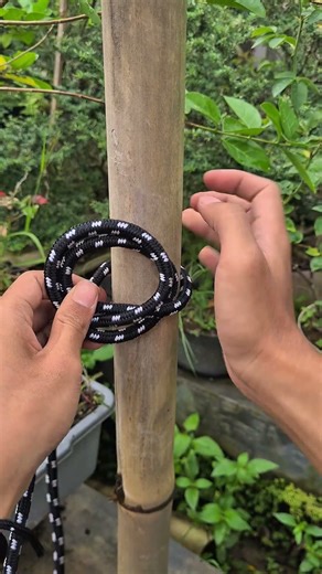 Constrictor Knot!! #knots #knottying #howtoknot #ropework #usefulknots #diytutorial #shorts