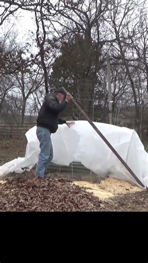 Cold frames keep the garden growing