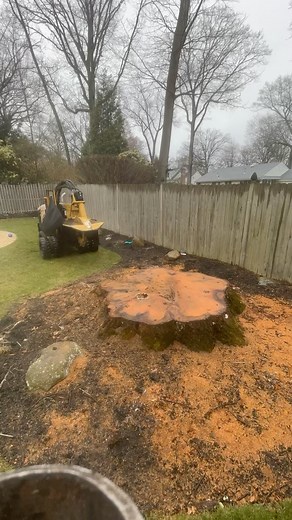 On the grind…. . . #stumpgrinding #stump #stumps #grinding #machine #stumpgrindingmachine #work #treework #treelife #arborist #arboristsofinstagram #timelapse #timelapsevideo #onthegrind #grindin | Vanderbeck Tree Experts