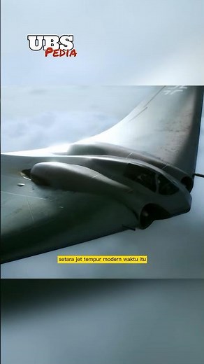 Jet Siluman Pertama Nazi | Horten Ho 229