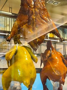 214K views · 6.7K reactions | SpringPalace | EaTravels | Facebook