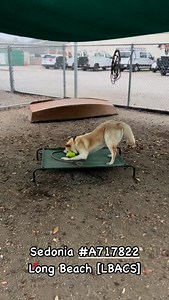 499 reactions · 38 comments | Sedonia #A717822 IMHO she’s a very...