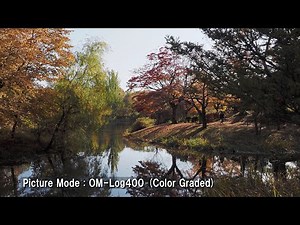 Natural vs OM-Log400 Graded - Olympus OM-D E-M1 Mark II (4K Ultra HD)