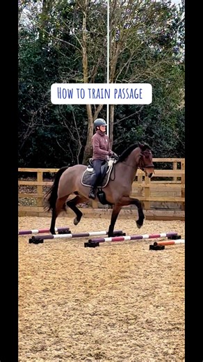 Entrenamiento de Paso con Paciencia y Ritmo