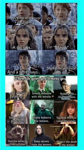 Harry Potter Funny Meme Compilation 😂 | When Wizards Explain Animal Sounds & Lemon Chaos 🍋✨#chuckles