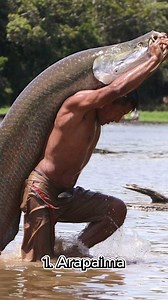 10 Fascinating Creatures of Our Planet #fascinatingcreatures #Top10 #animalfacts #animalworld | Animal World