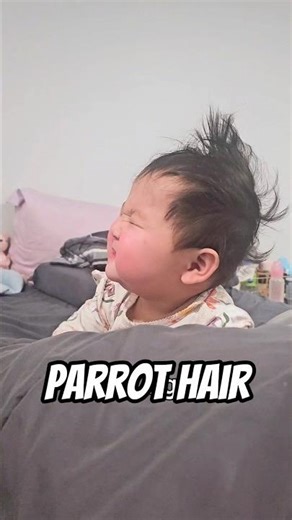 Do you have Parrott Hair when you wake up as well?? 🤣⁣⁣#parrothead