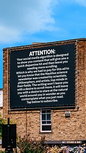 This newsletter is read by researchers at NASA, Harvard, and CERN but the stories are written in a way that everyone can understand. | Nautilus Magazine