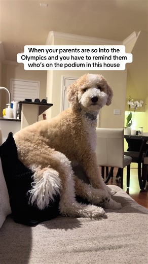 Pillow Podium: A Fun Twist on Olympic Spirit