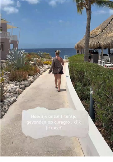 Heerlijk ontbijt tentje, heerlijk strand, heerlijke dag!! Kijk je mee ? 🌸🤍#cura #downtownby5999 #karakter