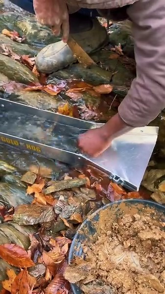 VA Gold Prospecting #goldprospecting #goldnugget #goldpanning #findinggold #oro #gold #goldrush #au | FishnGold
