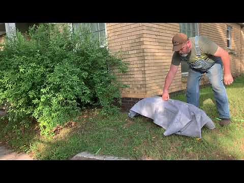 Skunk Removal: How I removed a skunk from a live trap without getting sprayed