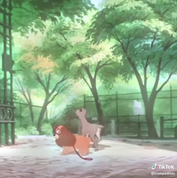 So pretty #fyp #disney #olddisney #disneyedit #ladyandthetramp #1 | disney edit