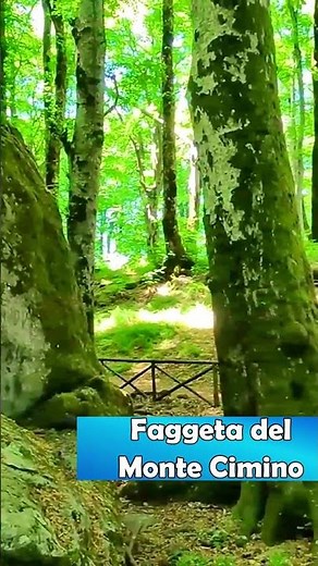 🌳 Beech Forest of Monte Cimino (Viterbo) | UNESCO World Heritage Site 🌍✨ #MonteCimino #BeechFores...