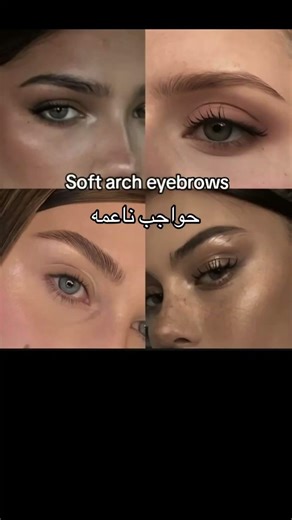 أنواع الحواجب