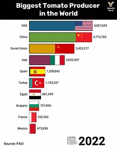 Biggest tomato producer in the world | Beautiful Words