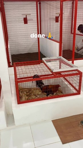 akhirnya selesai juga🙏 kamar pengkondisian❤️pointing to fight💪💪 semoga bisa mencetak petarung berkualitas😇 | Ajik Maruti