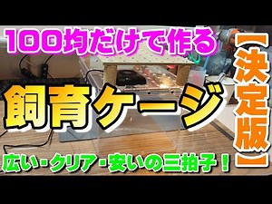 100均だけで作る飼育ケージ 【決定版】広い・クリア・安い！