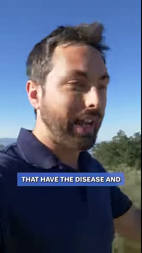 35K views · 506 reactions | I asked Bill Gates what the next crisis would be #billgates #interviews #veritasium | Veritasium | Facebook