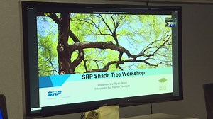 Want a free shade tree? Take this SRP class online