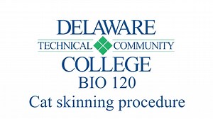 BIO 120 Cat skinning procedure