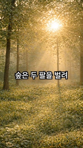 주님의 숲 | 아침에 듣는 찬양, 지친 마음의 쉼과 회복