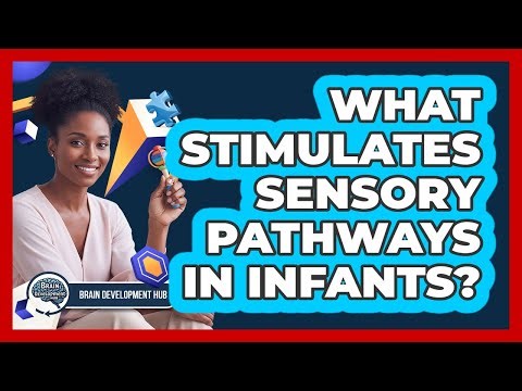 What Stimulates Sensory Pathways In Infants?