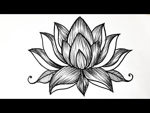 How To Draw A Lotus Flower Easy Step-by-step | Flower Drawing Tutorial 