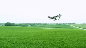flying drone footage show an agricultural drone spraying chemicals over a lush green field. This video showcases the precision and efficiency of modern agricultural technology in crop management.