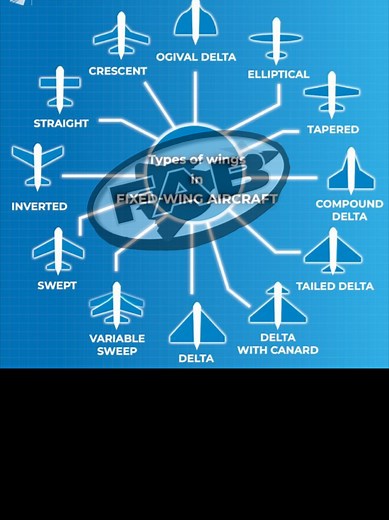 Types of Aircraft Wings Explained