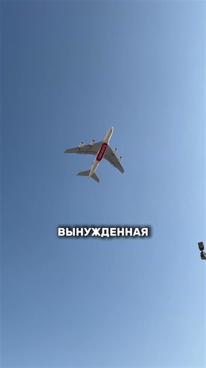 Почему в самолетах до сих пор есть ПЕПЕЛЬНИЦЫ? #животные #факты #образование #интересныефакты