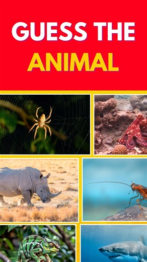 Guess the Animal Before It Reveals! 🐾🔥 Only 1% Get Perfect Score!