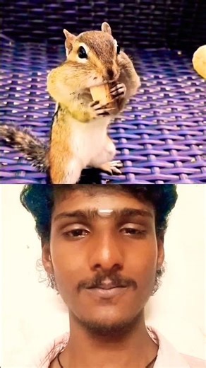 Anil: The Man Who Tames the Wild