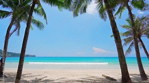 Coconut tree with beautiful tropical beach on sunny day