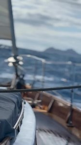 Sailing… video @sailing.with.caravelle | Sail Universe
