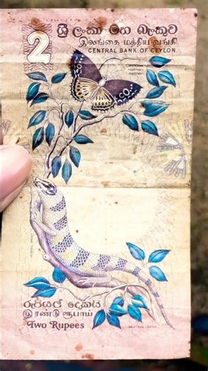 1979 CEYLON TWO RUPEE BANKNOTE IN 2026 #viral #ytshorts